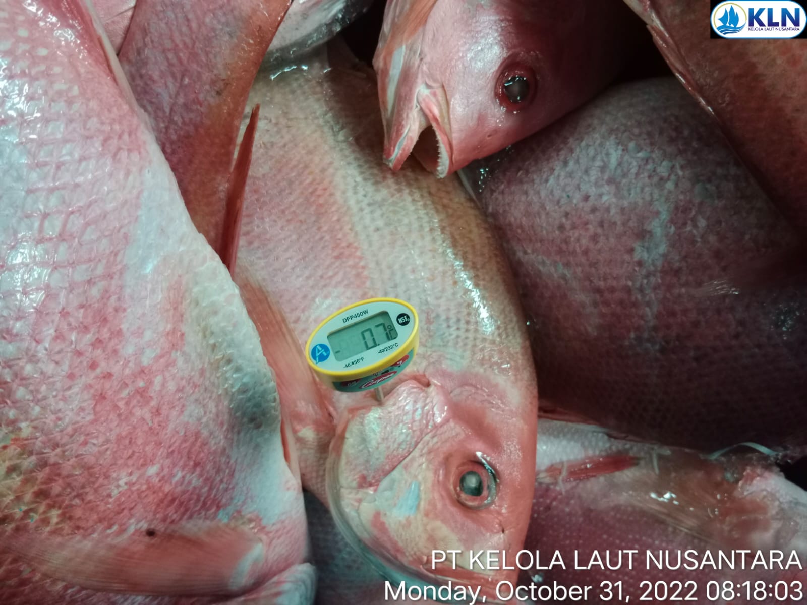 Fish Quality Assessment: Physical methods